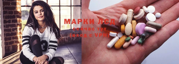 винт Инта