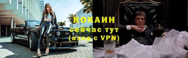 винт Инта