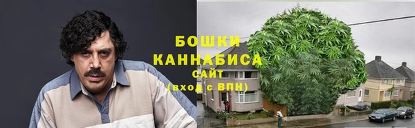 винт Инта