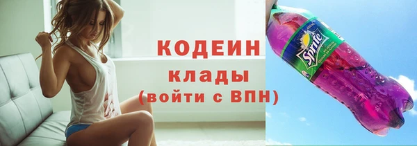винт Инта