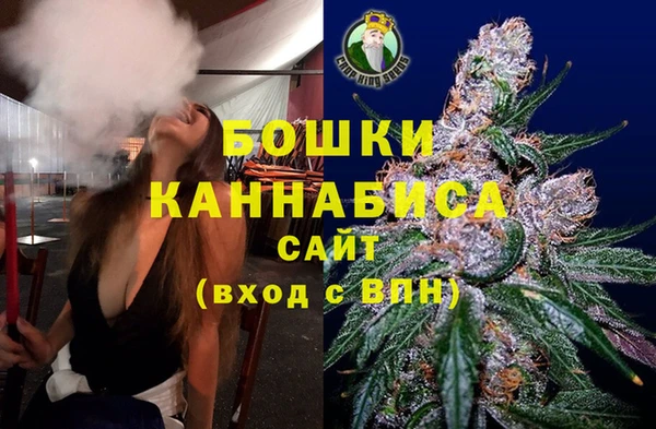 дживик Каменногорск