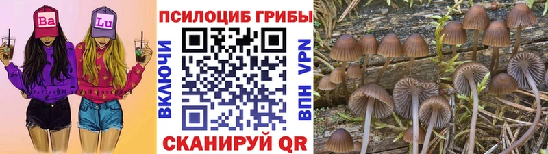 Псилоцибиновые грибы MAGIC MUSHROOMS  Купить закладки  Ишим 